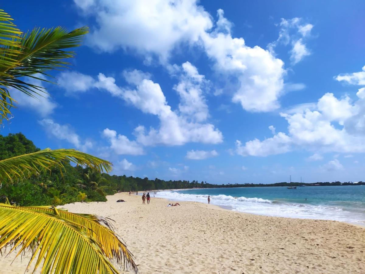 Imagine972 Martinique Bateau Hotel A Quai Le Marin 3 Cabines 3 Salles De Bains 6 Pers Maxi Exterior photo